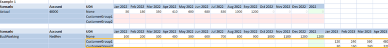 The new dimension members are active for input in subsequent budget cycles and the cells for entry are outlined. 